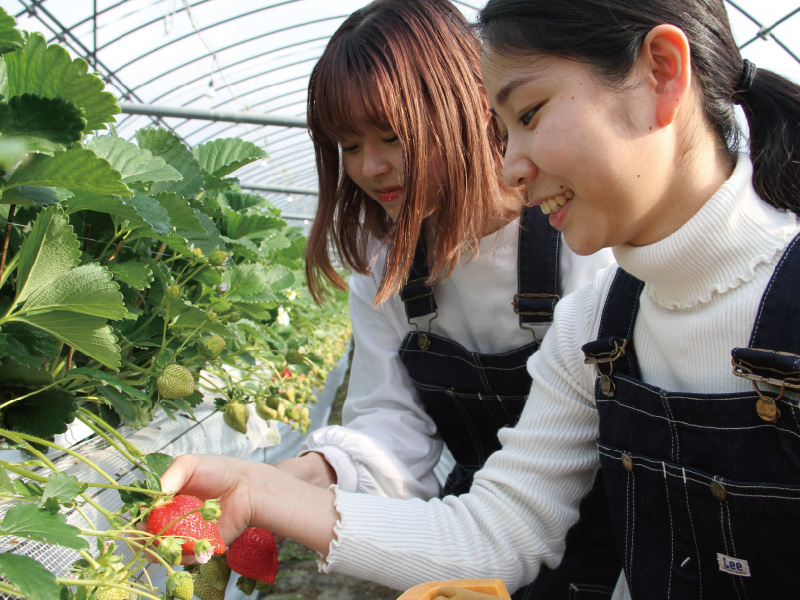 育てた素材で食を学ぶ