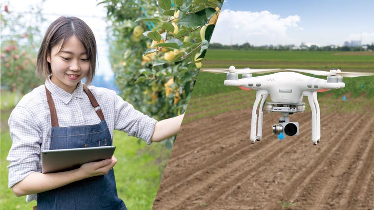 農業テクノロジー体験