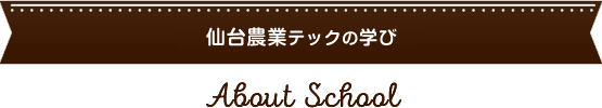 仙台農業テックの学び